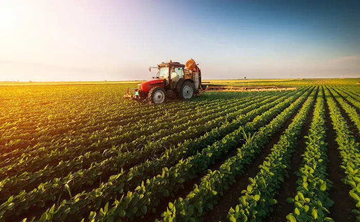 Produção agrícola mecanizada no Vale do São Francisco